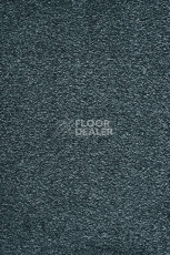 Ковролин AW Masquerade Moana 74 фото 1 | FLOORDEALER